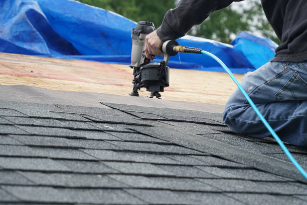 Best Roof Insulation Installation  in Northwoods, MO