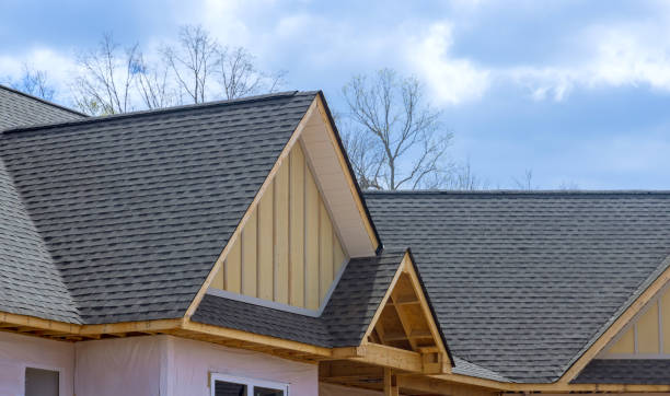 Best Sheet Metal Roofing  in Northwoods, MO